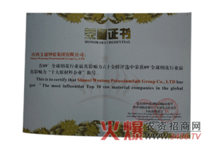 文通集团荣膺全球烟花行业影响力十大原料企业殊荣